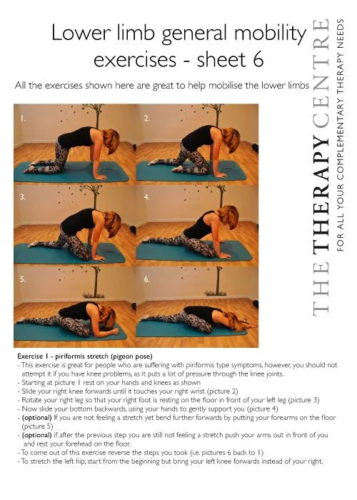 Lower limb general mobility exercises - sheet 6
