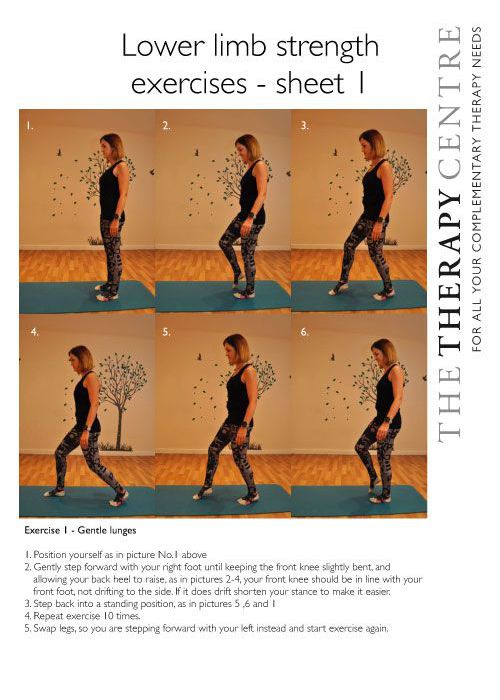 Lower limb - general strength exercises - sheet 1