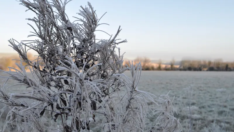 Top tips to beat the winter blues